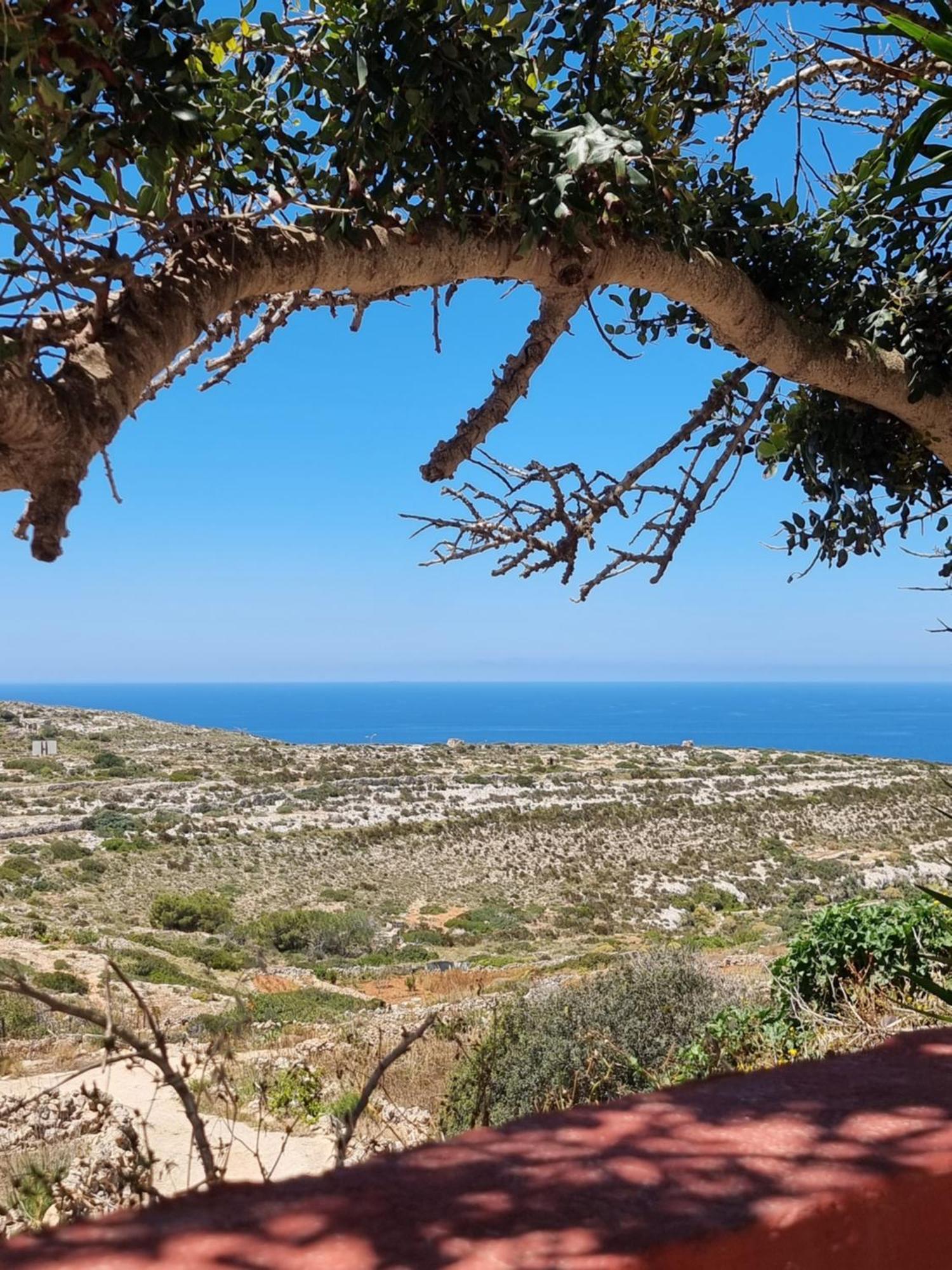 Seaside Apartments Malta Mellieha 2 Dış mekan fotoğraf